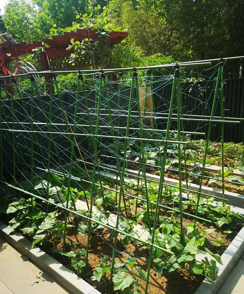 How Personalized Décor is Transforming Outdoor Spaces 2.jpg