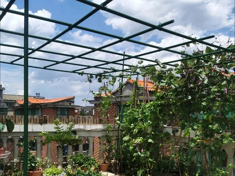 The Rise of Planting Boxes: Revolutionizing Urban Gardening and Sustainable Living