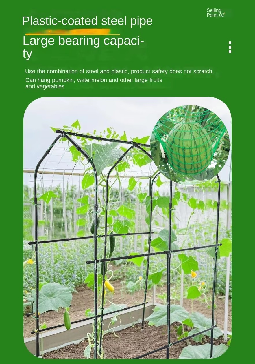 Cucumber climbing frame  (2)