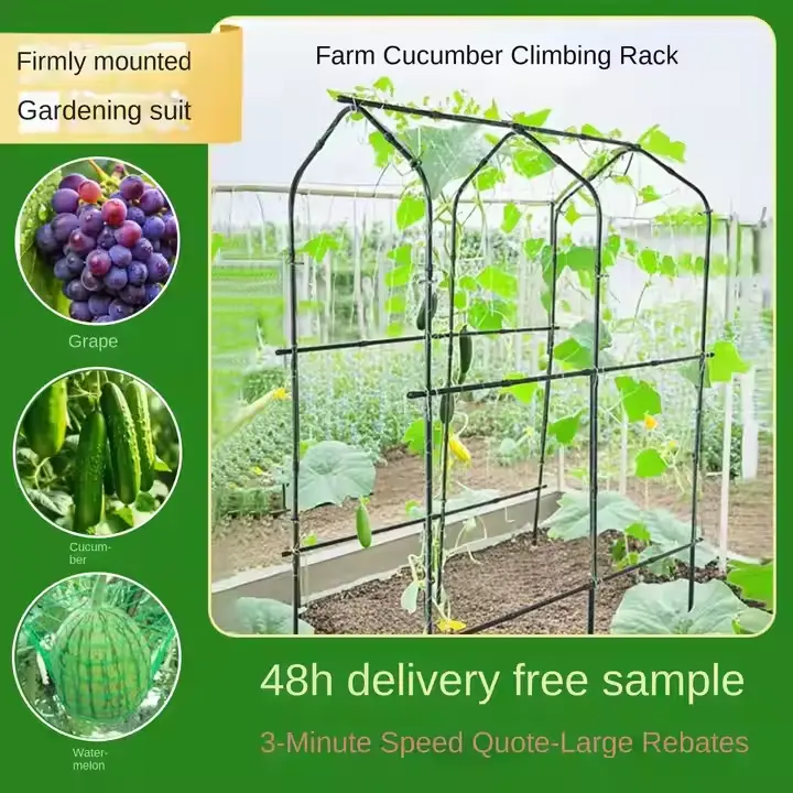 Cucumber climbing frame  (2).png