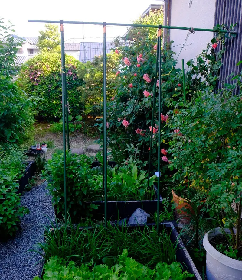 Revolutionizing Urban Gardening and Sustainable Living 2.jpg
