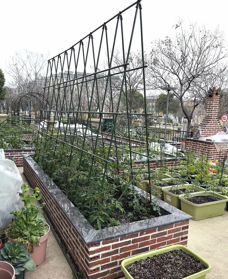 Innovations Transforming Modern Gardening 2.jpg