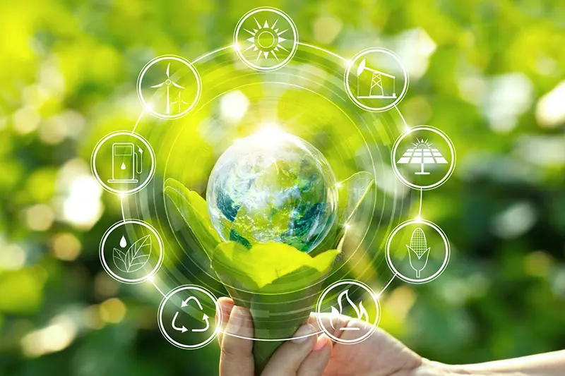 Looking to the future