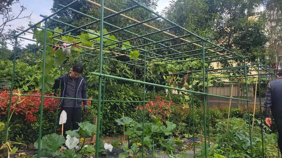 How Personalized Décor is Transforming Outdoor Spaces 3.jpg