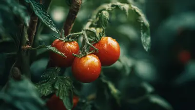 Unleashing Global Innovation in Manufacturing with the Best Tomato Plant Stakes from China