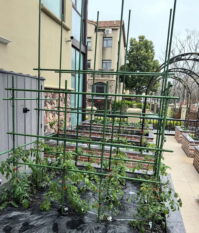 Revolutionizing Urban Gardening and Sustainable Living 3.jpg