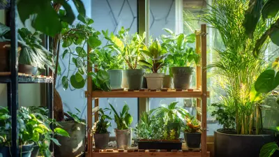 5 Creative Tips to Enhance Your Indoor Plant Trellis Design