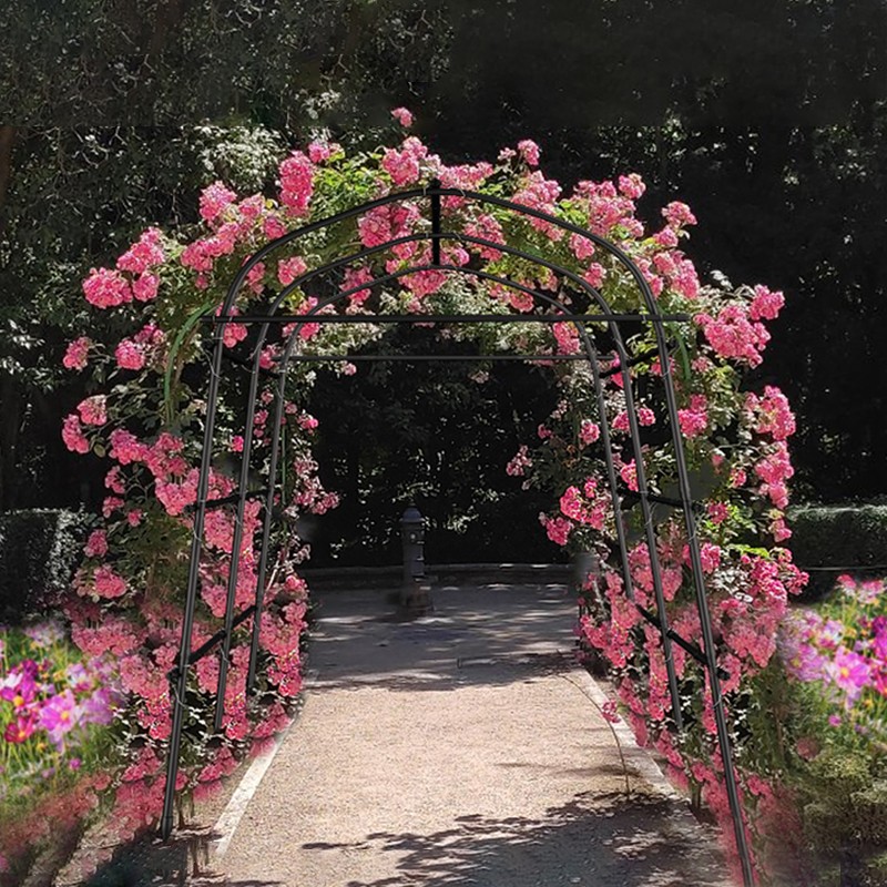 1c63ebbf1987fbf2854b6fe824c4995