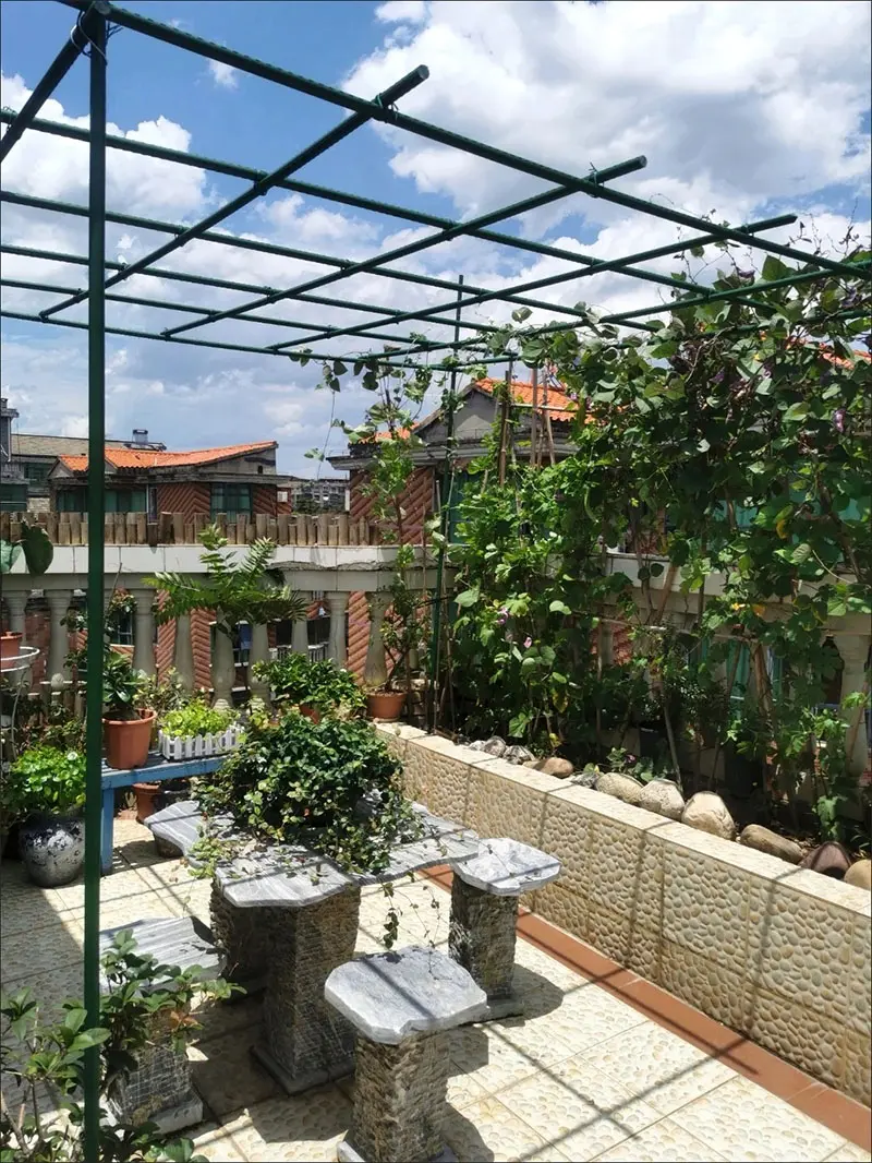 Revolutionizing Urban Gardening and Sustainable Living 1.jpg